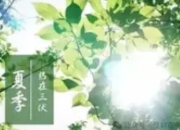 三伏天：最易生病的“危机季”，亦是养生的黄金期