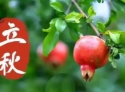 立秋进补"四不吃"：避开养生误区，顺应天时更健康