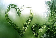 郭麒麟拒接德云社：从“少班主”到演员的清醒抉择